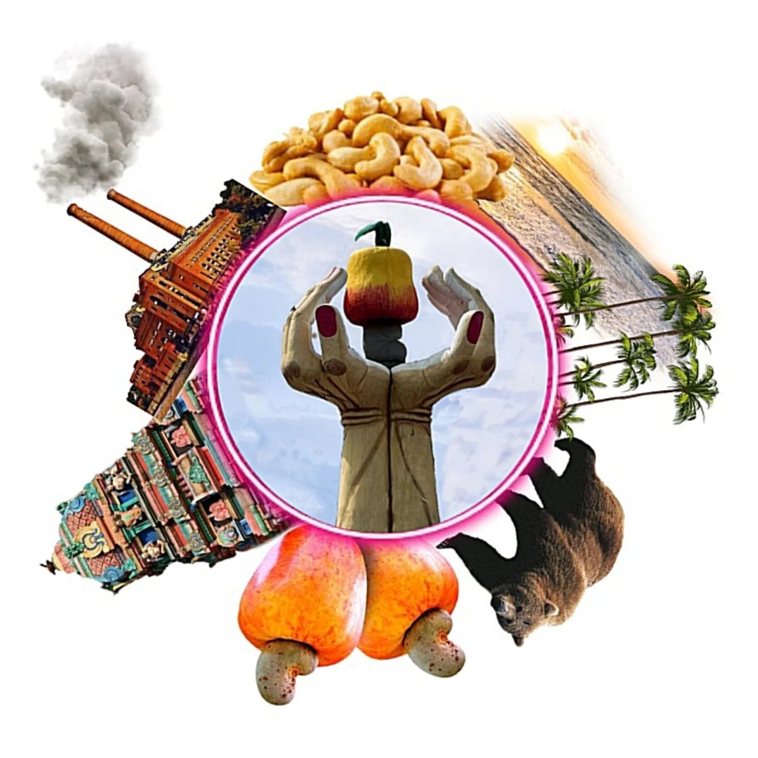 Our Palasa